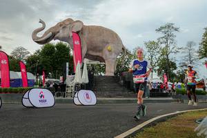 BIB: 
                            <button type="button" onclick="openModal(26528500)" class="btn btn-primary btn-sm float-right btn-popup" data-toggle="modal" data-target=".modal-high-quality">
                        <i class="fas fa-shopping-cart"></i> Add to Cart
                    </button>
                                            <button type="button" onclick="isThisMe(26528500, true)" class="btn btn-success btn-sm float-right btn-popup btn-isme hidden" data-toggle="tooltip" data-placement="bottom" title="นี่คือรูปของคุณใช่ไหม คลิกที่นี่เพื่อเอาเข้าอัลบั้ม">
                        <i class="fas fa-plus"></i> Add to album
                    </button>
                    <button type="button" onclick="isThisMe(26528500, false)" class="btn btn-warning btn-sm float-right btn-popup btn-isnotme hidden">
                        <i class="fas fa-ban"></i> Remove from album
                    </button>